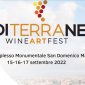 Mediterranean Wine Art Fest