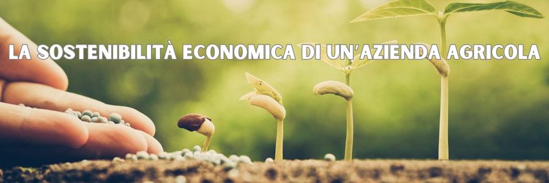 La sostenibilità economica di un’azienda agricola