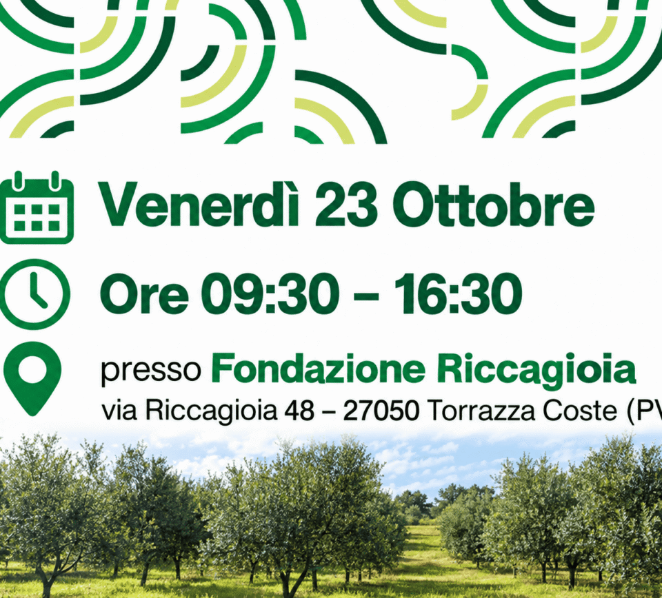 Grafica dell’azione dimostrativa sulla meccanizzazione in oliveto in Oltrepò Pavese: venerdì 23 ottobre, ore 09:30–16:30, Fondazione Riccagioia, Torrazza Coste, con filari di olivi